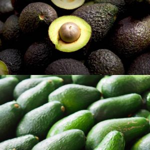 avocado-large-australian-hass-ea-large-best-eating