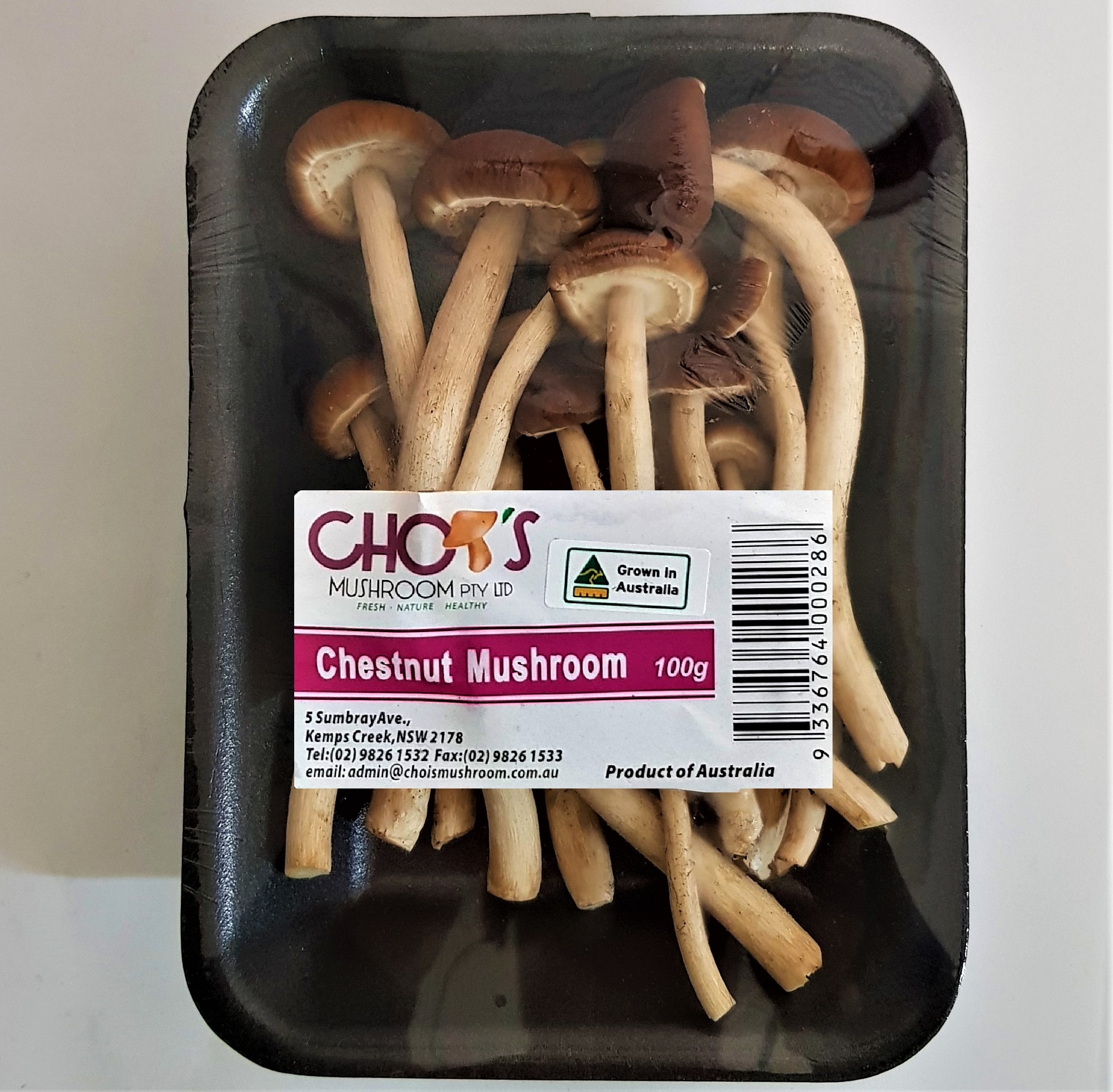 Mushrooms Chestnut 100gm Aussie Grown Grandma Rosies