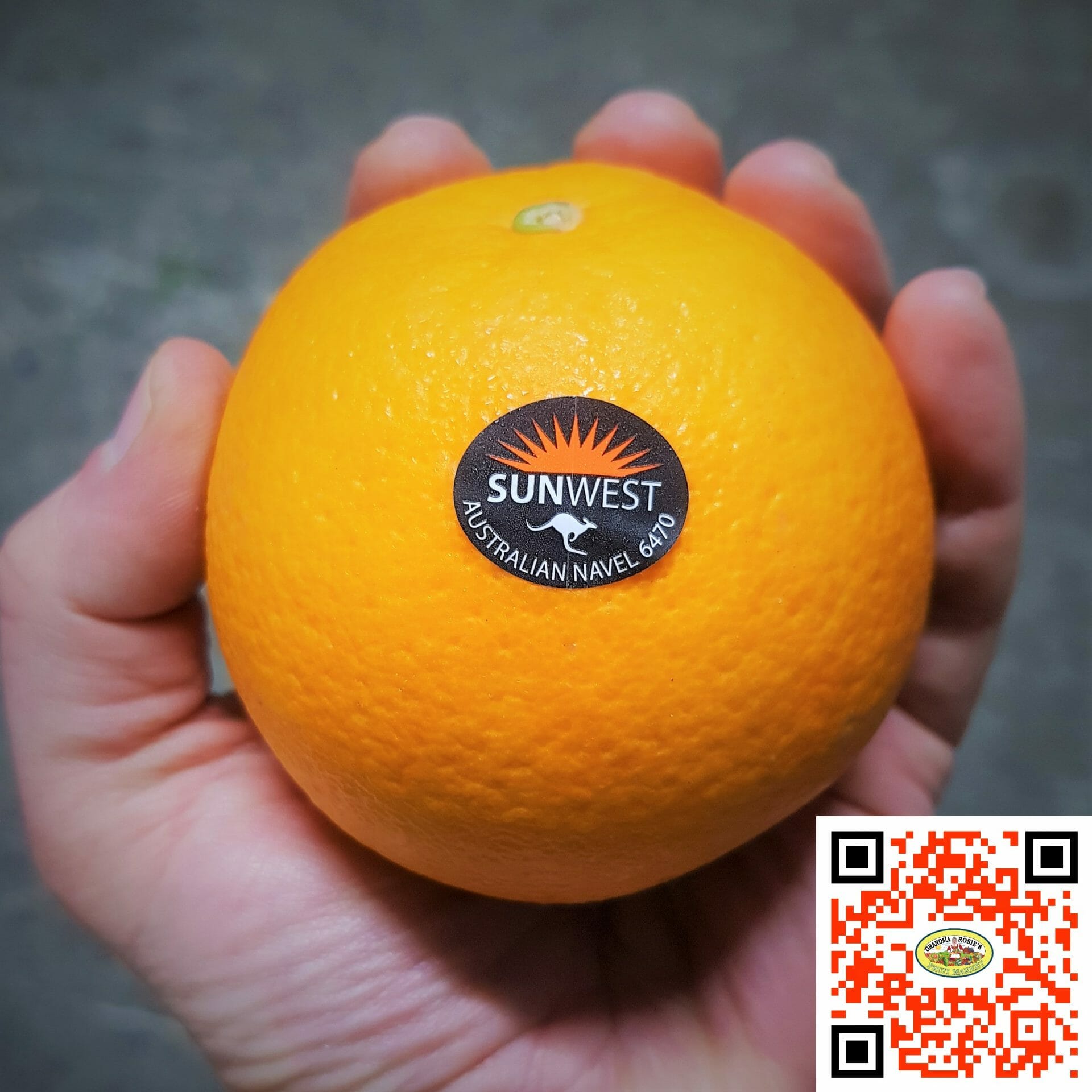 Australian Navel Oranges by SUNWEST, Each *PREMIUM QUALITY* *TOP EATING