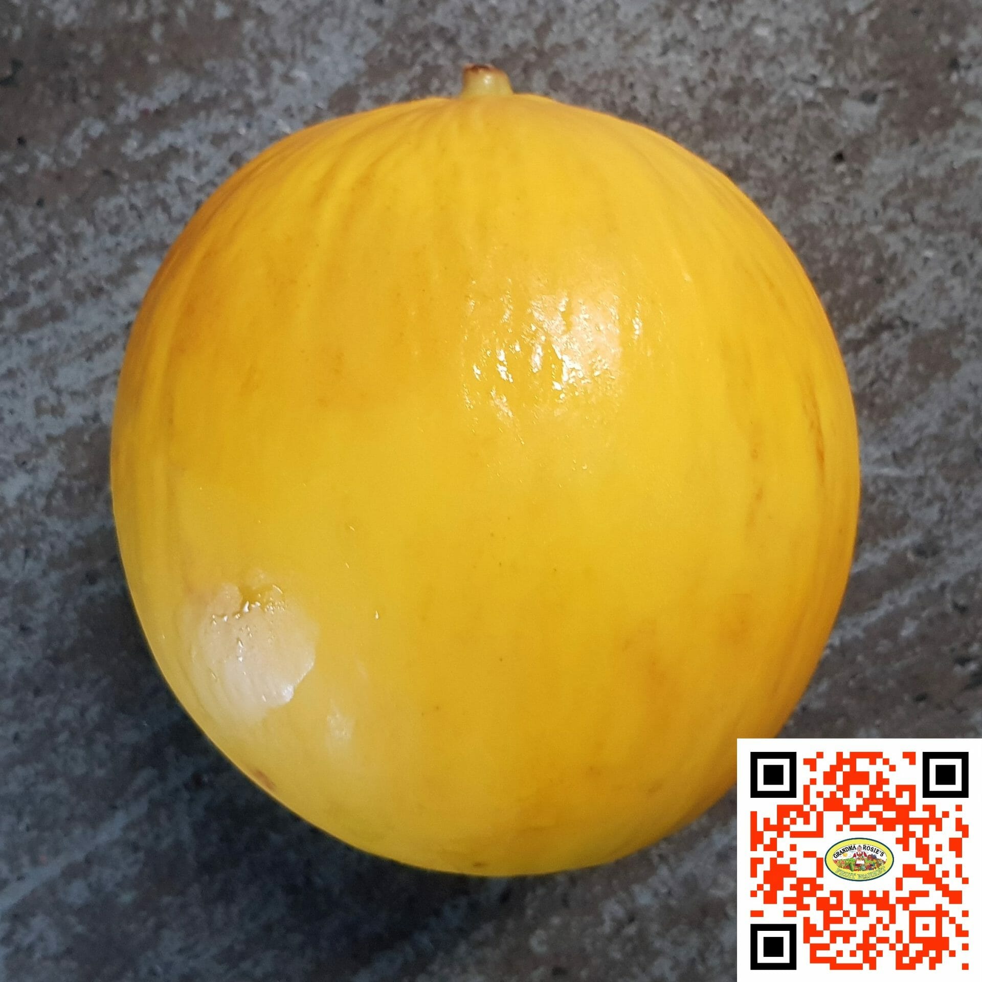 Candy Melon ea. *BEST EATING* *JUICY SWEET* Grandma Rosies